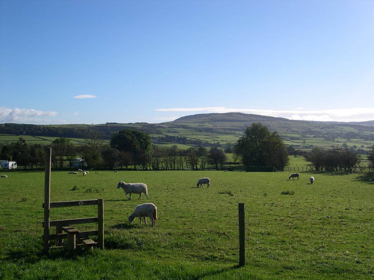 Pickersgill Manor Farm Bed & Breakfast Silsden Eksteriør bilde